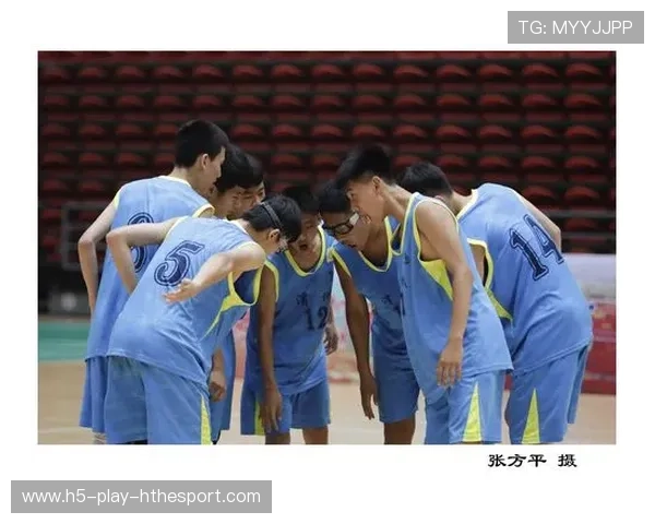 篮球训练设施在中国城市边缘地区的分布情况，篮球训练营市场占有率